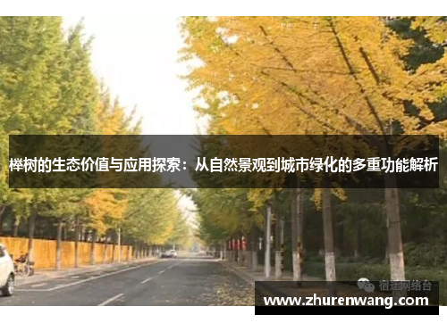 榉树的生态价值与应用探索：从自然景观到城市绿化的多重功能解析